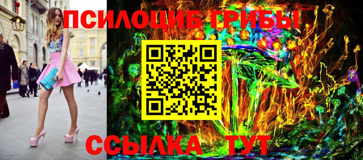 Псилоцибиновые грибы Cubensis Конаково