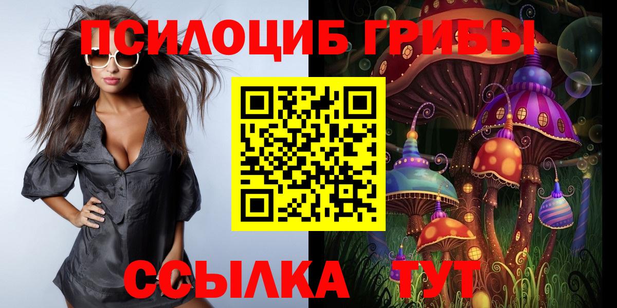 Галлюциногенные грибы Cubensis  Вход с VPN  Конаково 